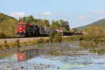 CP 8862 CITX 1007, eastbound on the ex-Erie Southern Tier with 38T, at Swain, NY. 9/11/2015